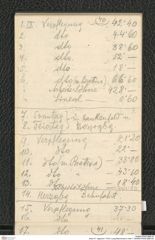 Seite 47, Tagebuch "1919 | Lang-Mannersdorf | Heft 1" (NHMW-PRAE-BBB-09)